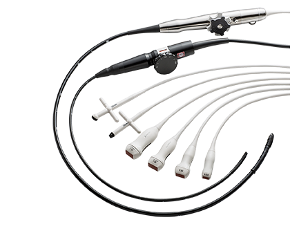 Transducer family image