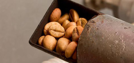 Paahdetut kahvipavut &ndash; mit&auml; tummempi paahto, sit&auml; v&auml;hemm&auml;n kofeiinia