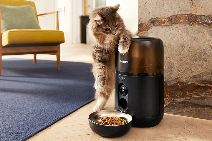 Pet Series, bannerivideo