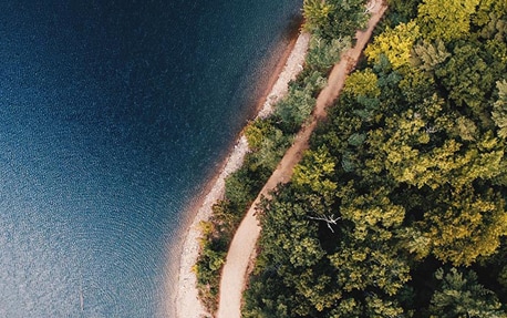 Philipsin kestävän kehityksen suunnitelmia esittelevä banneri, jossa on ilmakuva puiden latvoista ja merestä.