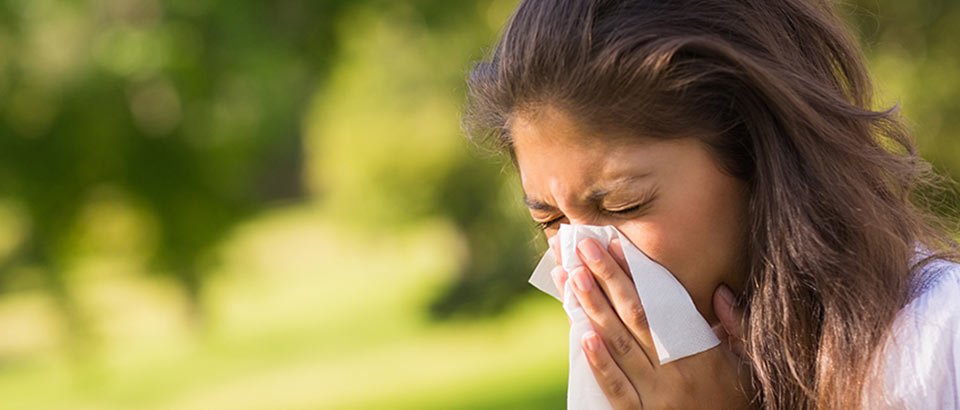 Kodin allergeenit – Siitepölytyypit ja milloin niitä esiintyy