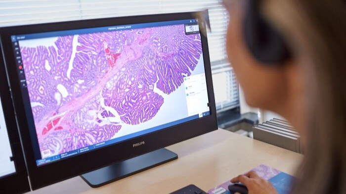 dcp pips hl pathologyscanner asset1